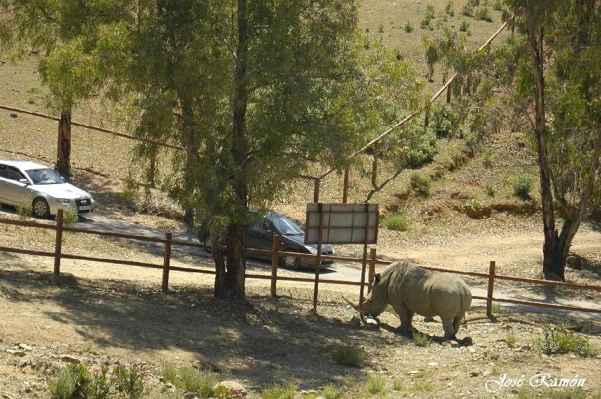 Foto de Sevilla (Andalucía), España
