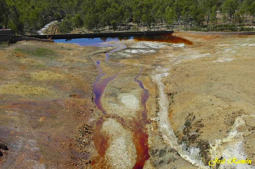 Foto de Sevilla (Andalucía), España