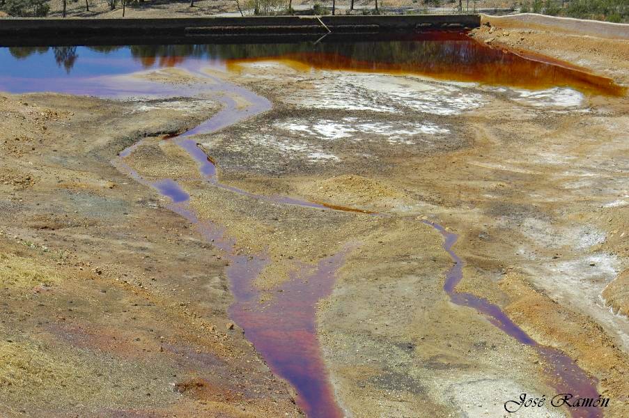 Foto de Sevilla (Andalucía), España