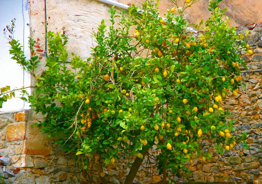 Foto de Escalante (Cantabria), España