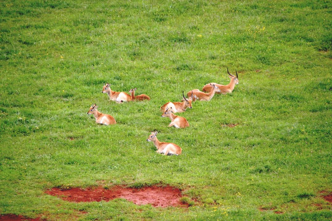 Foto de Cabárceno (Cantabria), España