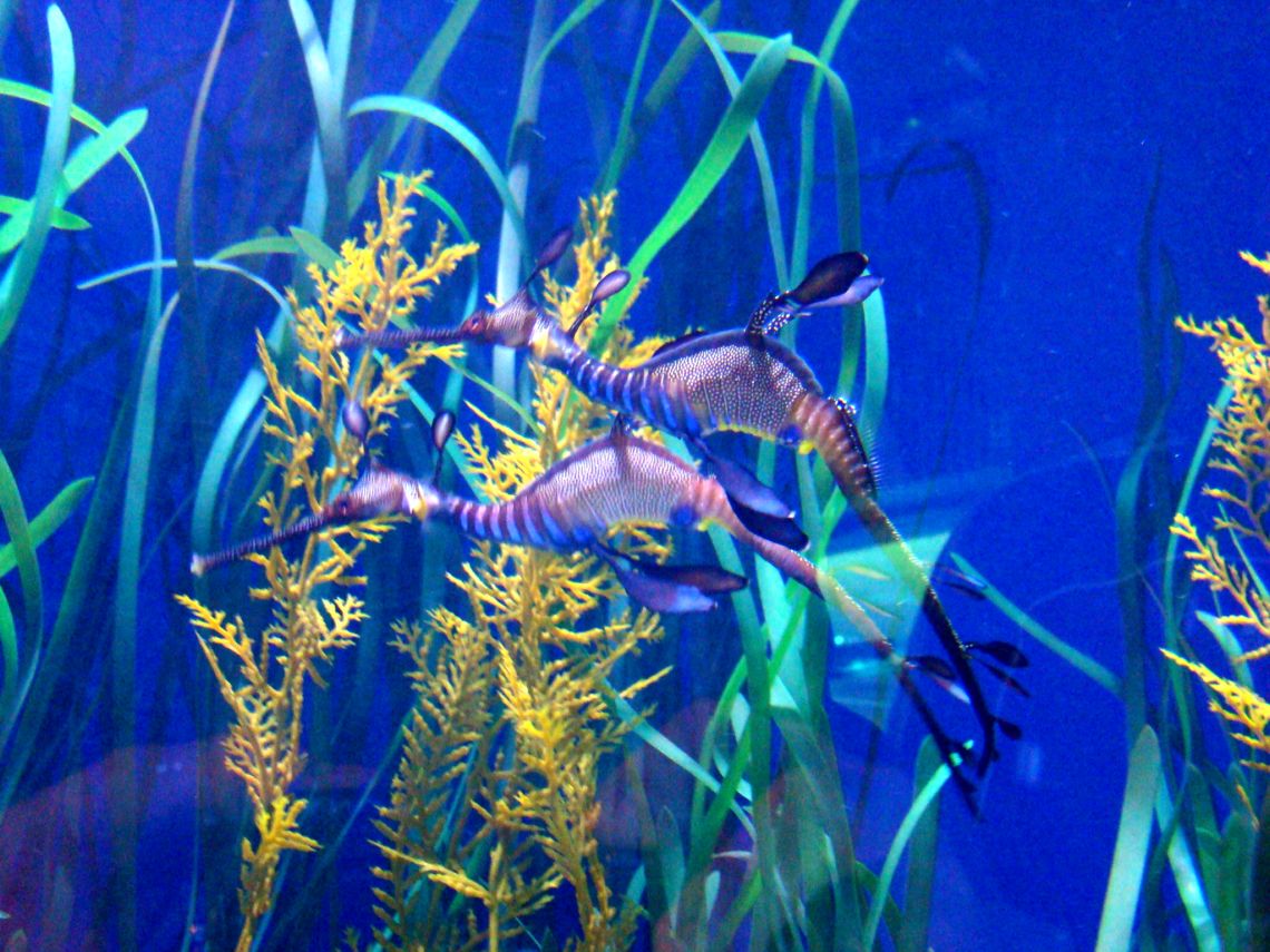 Foto de Valencia (València), España