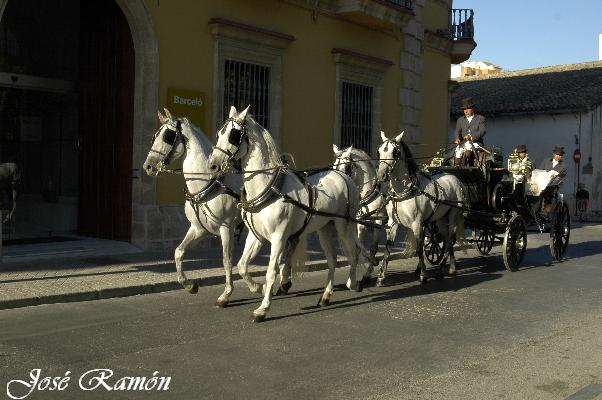 Foto de Jerez de la Frontera (Cádiz), España