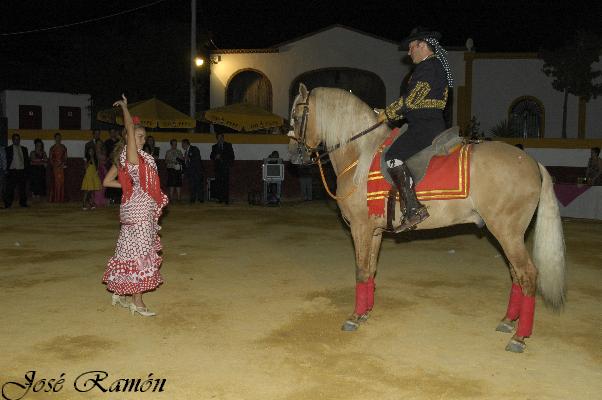 Foto de Jerez de la Frontera (Cádiz), España
