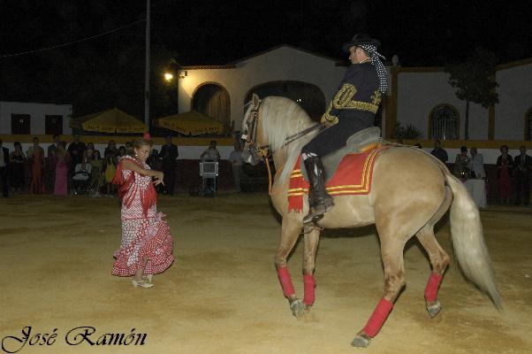 Foto de Jerez de la Frontera (Cádiz), España
