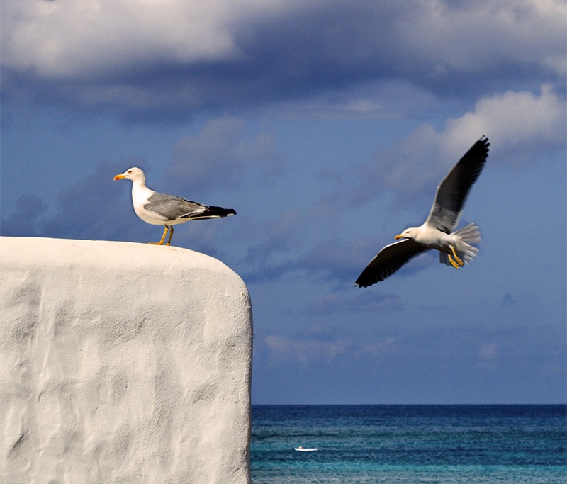 Foto de Menorca (Illes Balears), España