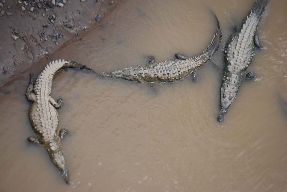 Foto de Puntarenas, Costa Rica