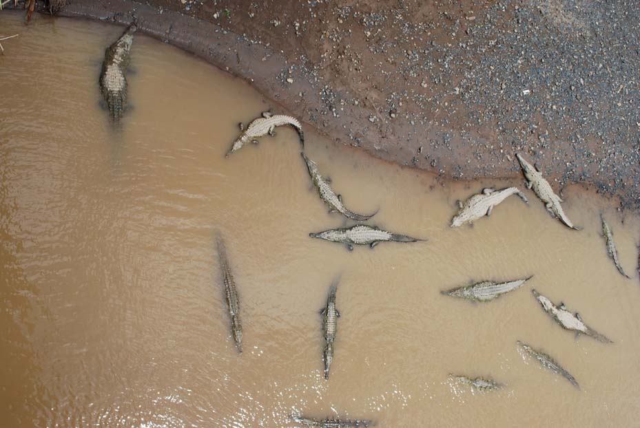 Foto de Puntarenas, Costa Rica