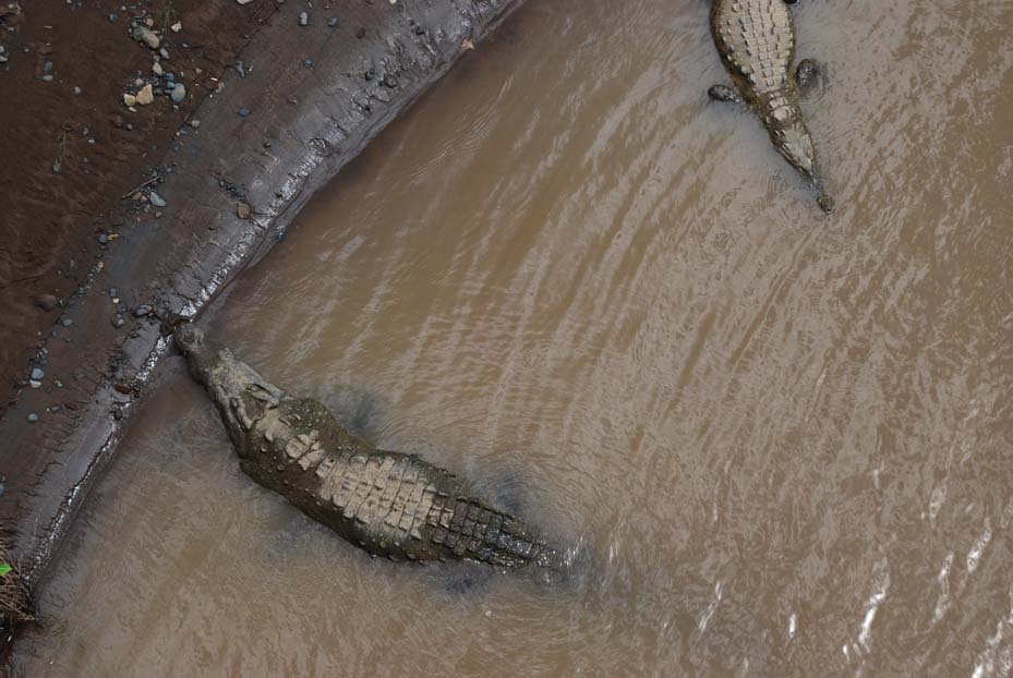 Foto de Puntarenas, Costa Rica