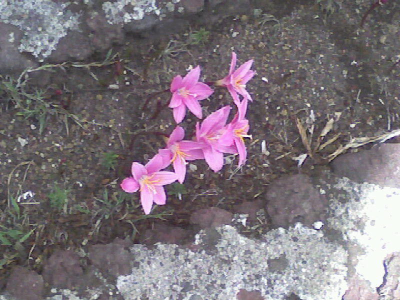 Foto de Sonsonate, El Salvador