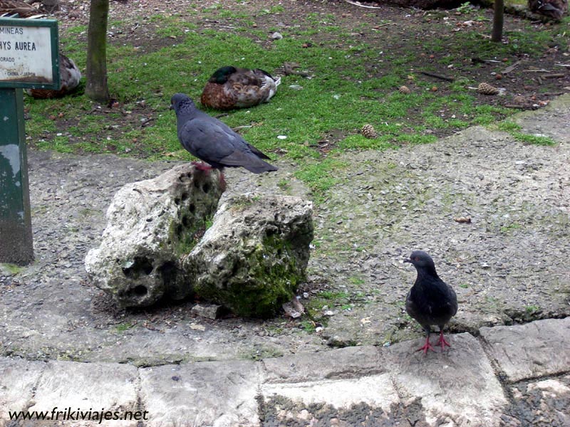 Foto de Oviedo (Asturias), España
