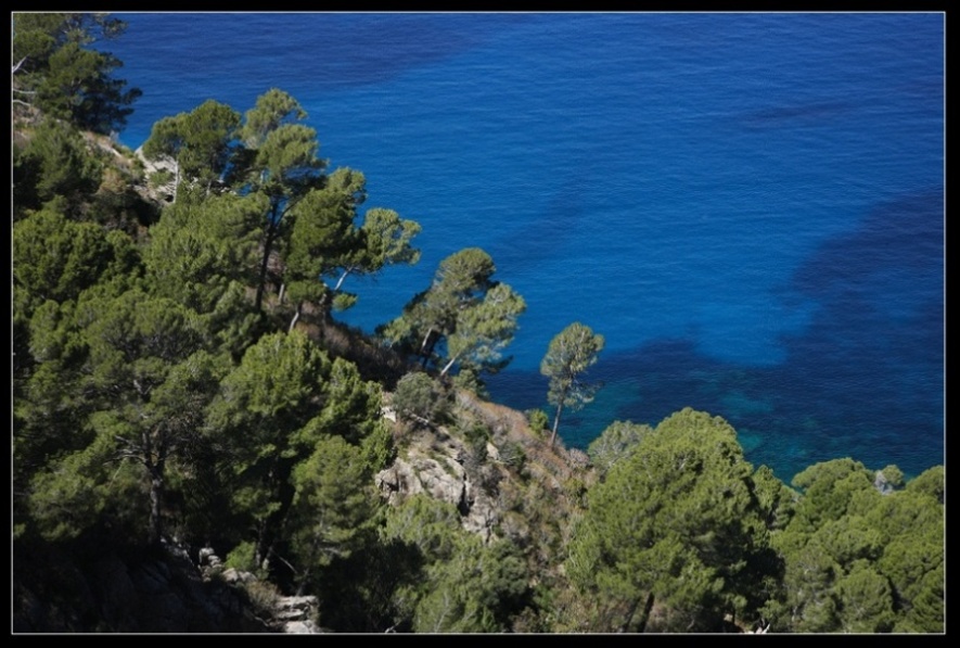 Foto de Mallorca (Illes Balears), España