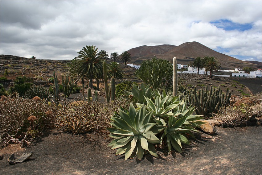 Foto de Lanzarote (Las Palmas), España