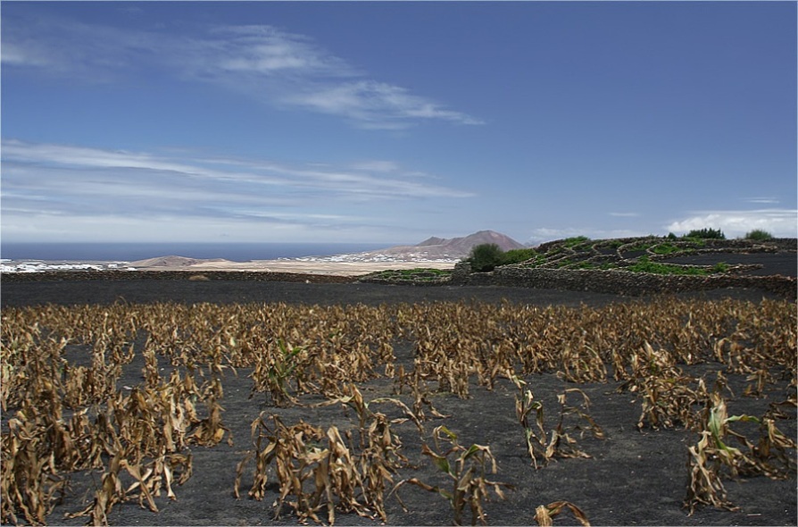 Foto de Lanzarote (Las Palmas), España