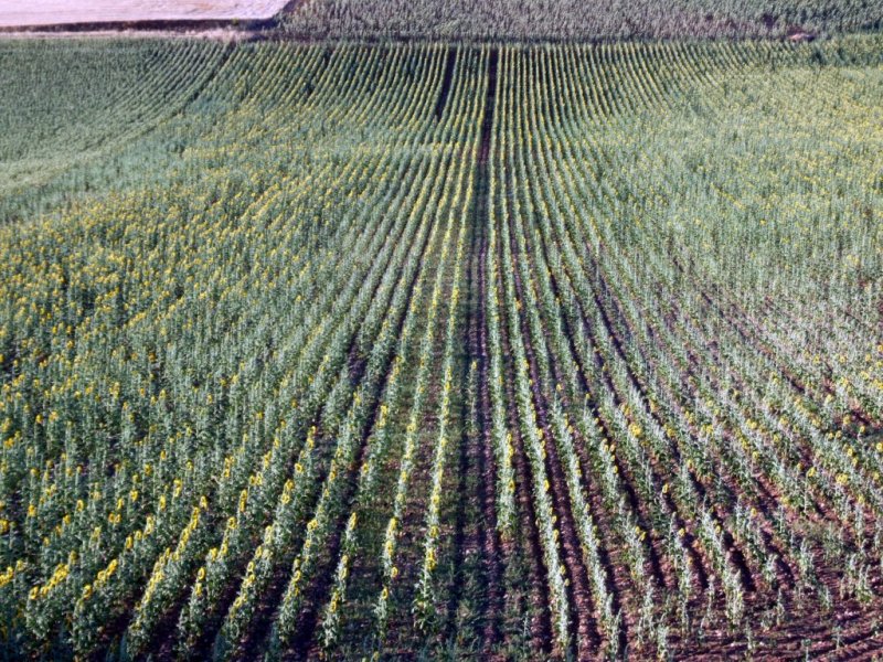 Foto de Castillo de Garcimuñoz (Cuenca), España