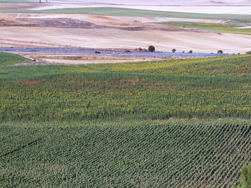 Foto de Castillo de Garcimuñoz (Cuenca), España