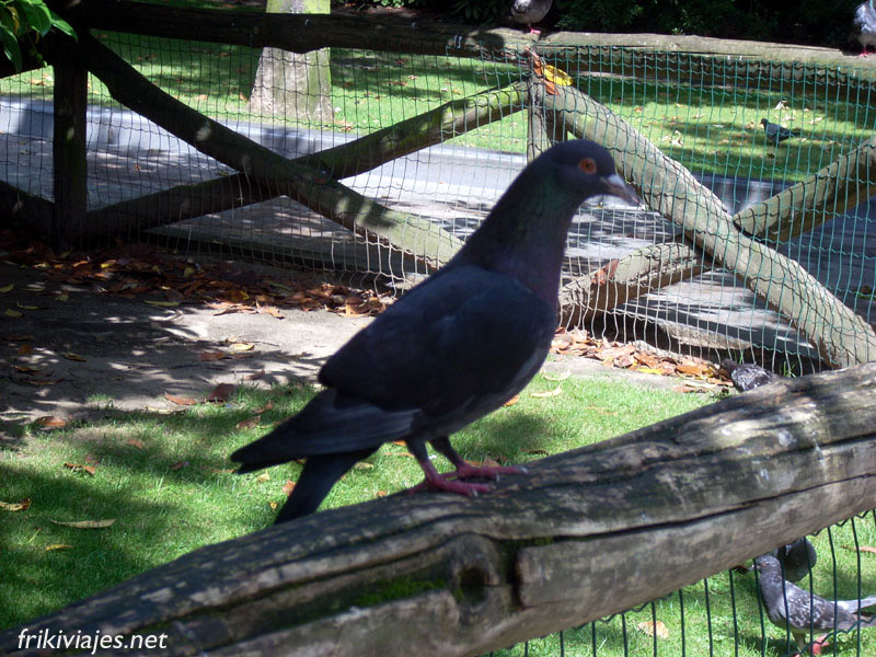 Foto de Oviedo (Asturias), España