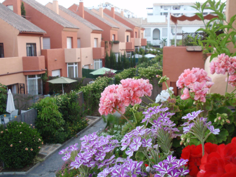 Foto de Estepona (Málaga), España