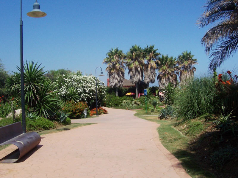 Foto de Estepona (Málaga), España