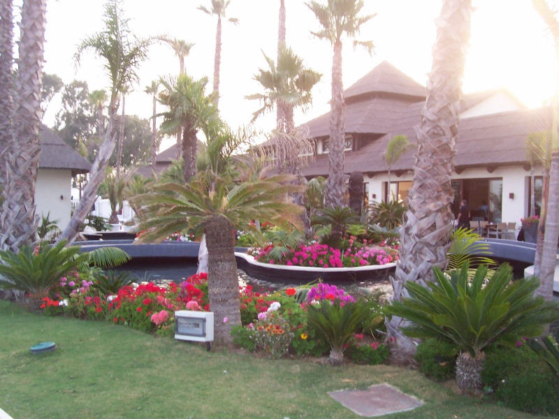 Foto de Estepona (Málaga), España