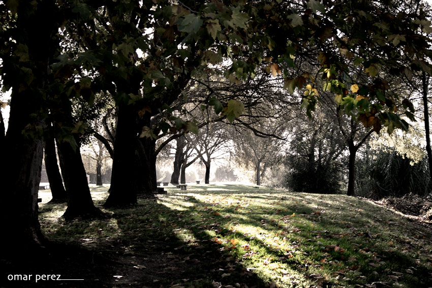 Foto de Ourense (Galicia), España