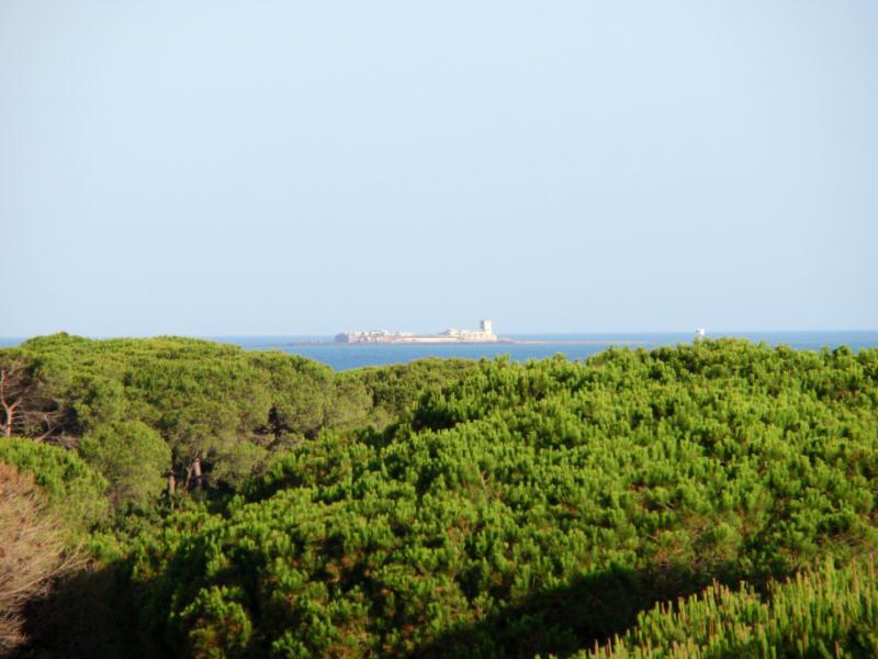 Foto de Chiclana (Cádiz), España