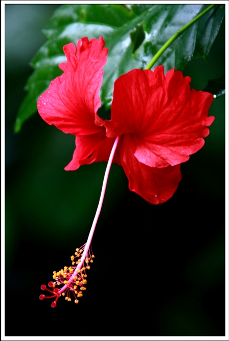 Foto de Calatayud (Zaragoza), España