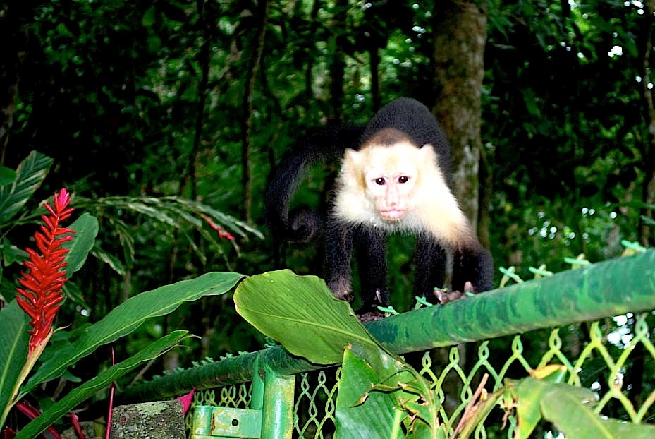 Foto de Puntarenas, Costa Rica