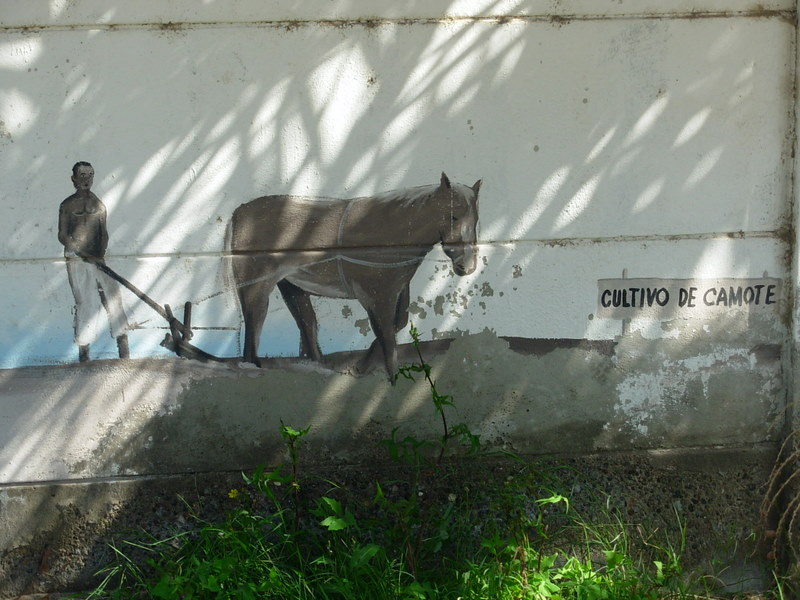 Foto de Arica, Chile