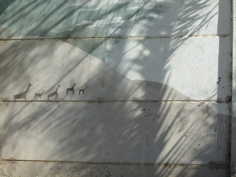 Foto de Arica, Chile