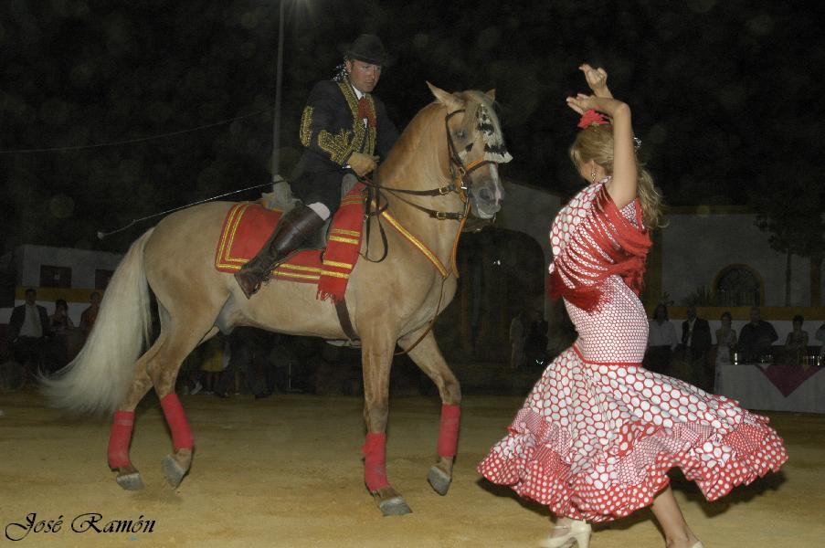 Foto de Jerez de la Frontera (Cádiz), España