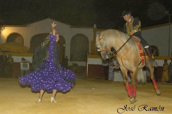 Foto de Jerez de la Frontera (Cádiz), España