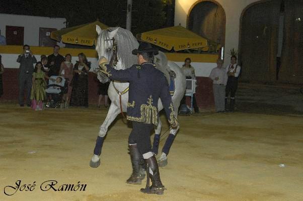 Foto de Jerez de la Frontera (Cádiz), España