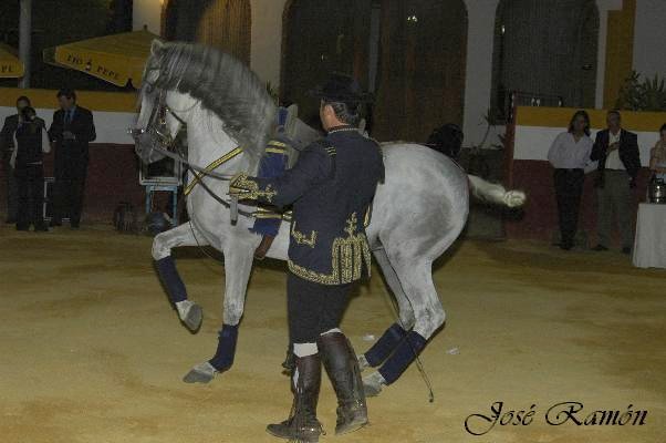 Foto de Jerez de la Frontera (Cádiz), España