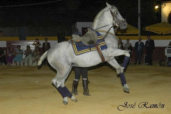Foto de Jerez de la Frontera (Cádiz), España