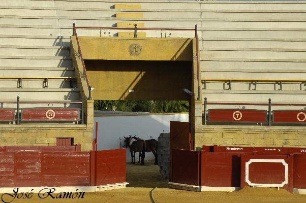 Foto de Espartinas (Sevilla), España