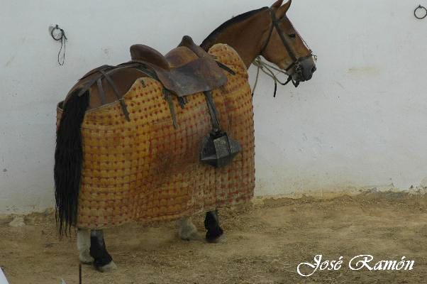 Foto de Espartinas (Sevilla), España