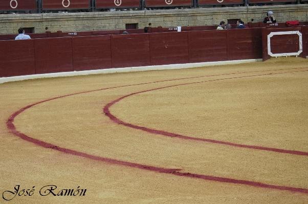 Foto de Espartinas (Sevilla), España