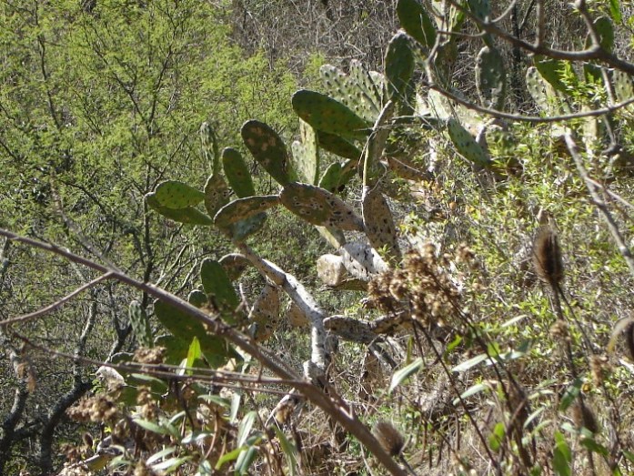 Foto de Otamendi (Buenos Aires), Argentina