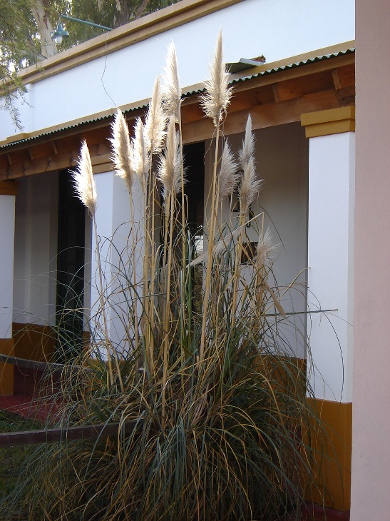 Foto de Otamendi (Buenos Aires), Argentina