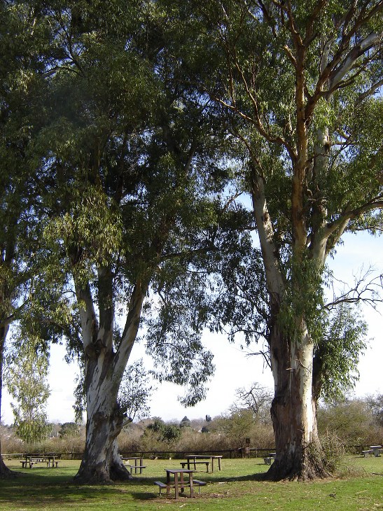 Foto de Otamendi (Buenos Aires), Argentina