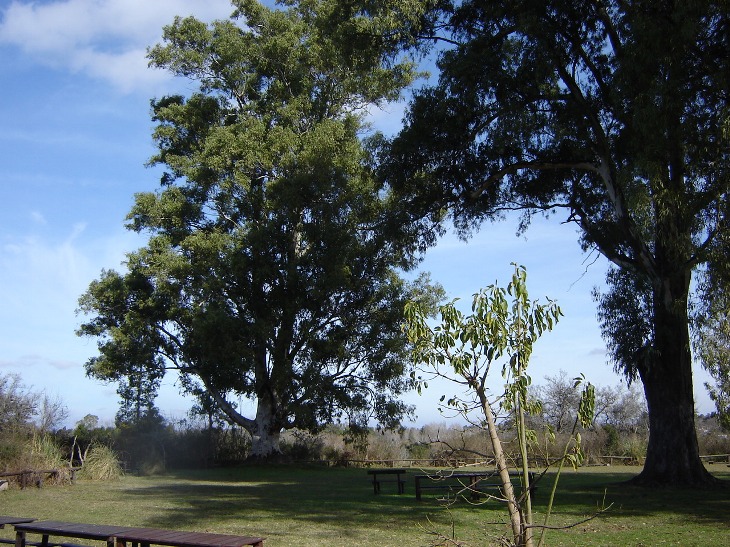 Foto de Otamendi (Buenos Aires), Argentina