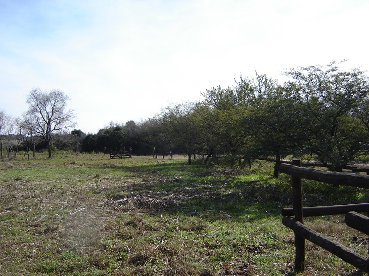 Foto de Otamendi (Buenos Aires), Argentina