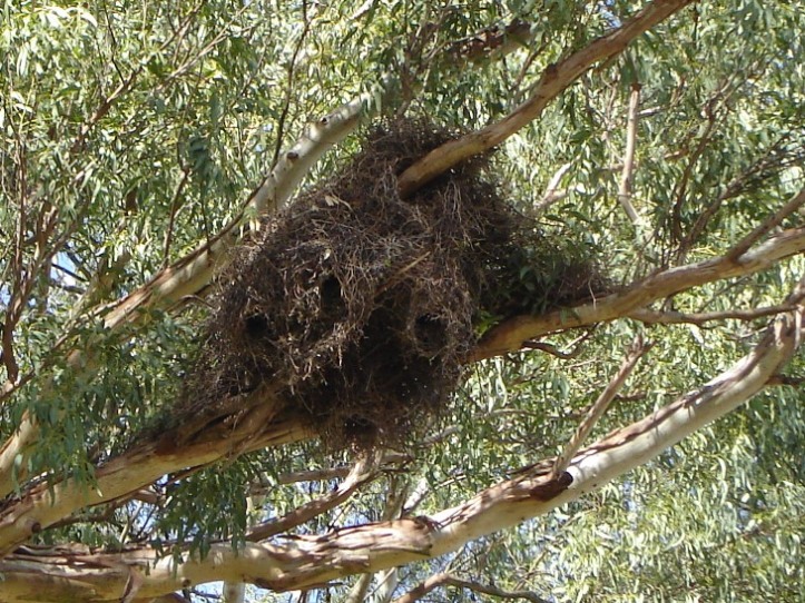 Foto de Otamendi (Buenos Aires), Argentina