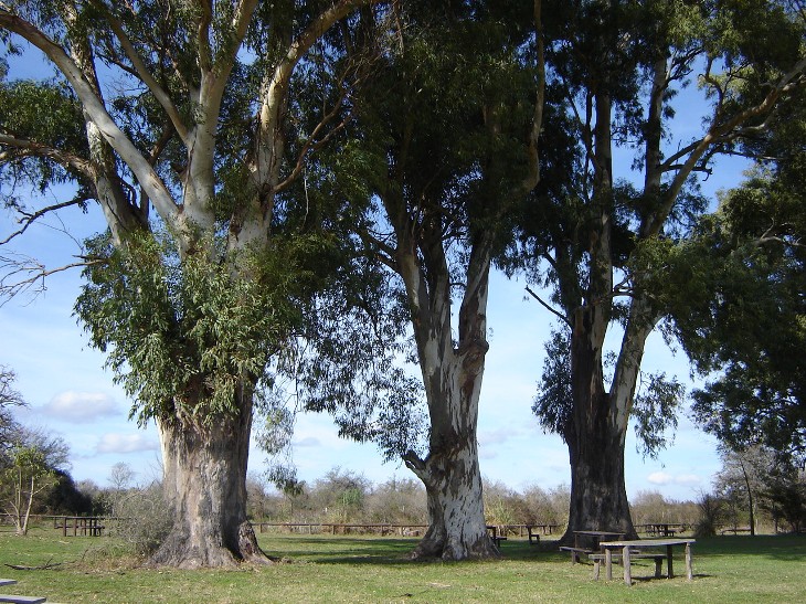 Foto de Otamendi (Buenos Aires), Argentina