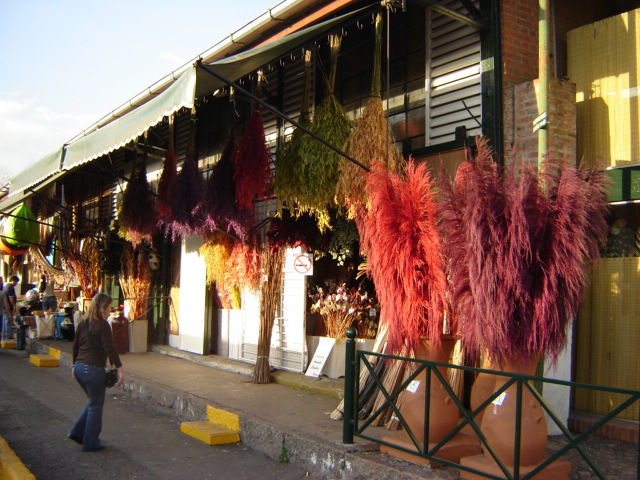 Foto de Tigre (Buenos Aires), Argentina
