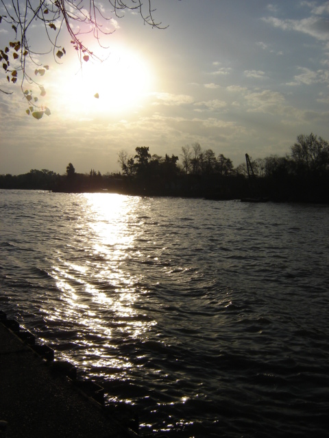 Foto de Tigre (Buenos Aires), Argentina