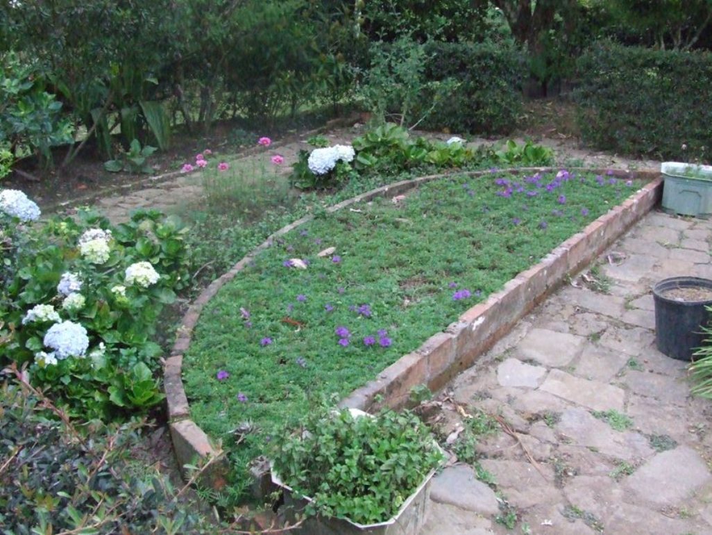 Foto de San José, Costa Rica