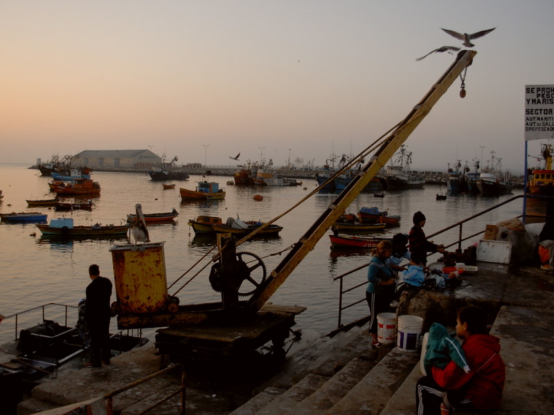 Foto de Arica, Chile