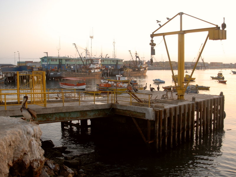 Foto de Arica, Chile